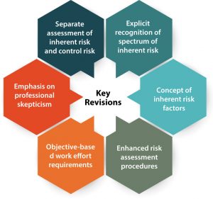 inherent risk factors