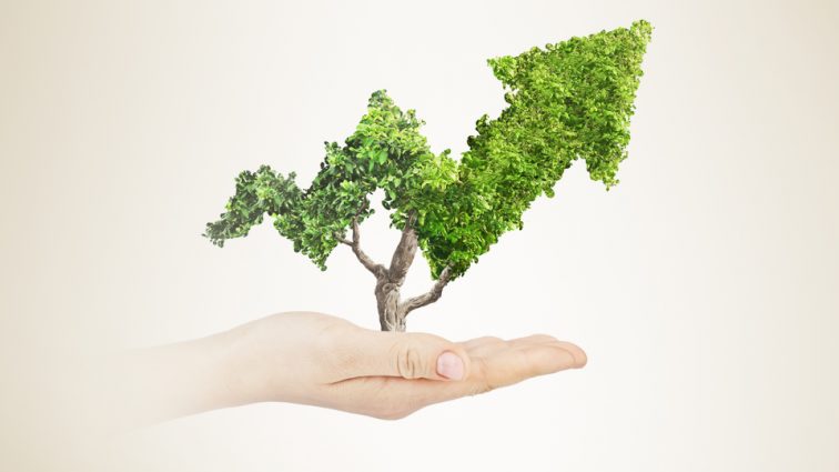 Demystifying Sustainability Reporting: What’s Real and What’s Not